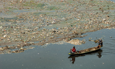 Ilustrasi Pencemaran Lingkungan. Foto : Shutterstock